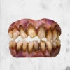 TRICK OR TREAT STUDIOS Zombie Teeth -Mortem Horror Shop bitmares fake teeth cheap