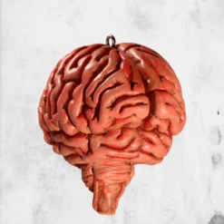 Brain Ornament