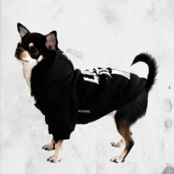 Lick Dog Hoodie -Mortem Horror Shop dog pet hoodie lick it killstar