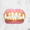 TRICK OR TREAT STUDIOS ID Teeth -Mortem Horror Shop fake halloween teeth cosplay