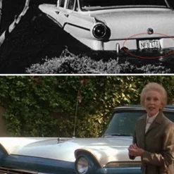 Psycho - Marion Crane's Ford Plate -Mortem Horror Shop halloween jamie lee curtis plate