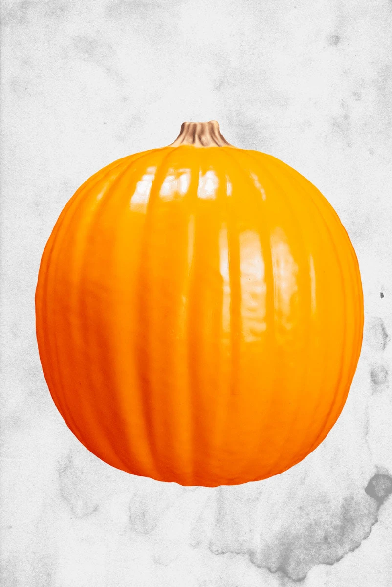 TRICK OR TREAT STUDIOS Halloween 2016 - Light Up Pumpkin 5 TRICK OR TREAT STUDIOS Halloween 2016 - Light Up Pumpkin - Image 3
