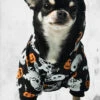 Haunted Pumpkin Pet Hoodie 1 Haunted Pumpkin Pet Hoodie -Mortem Horror Shop haunted pumpkin halloween dog hoodie