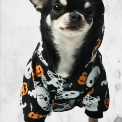 Haunted Pumpkin Pet Hoodie