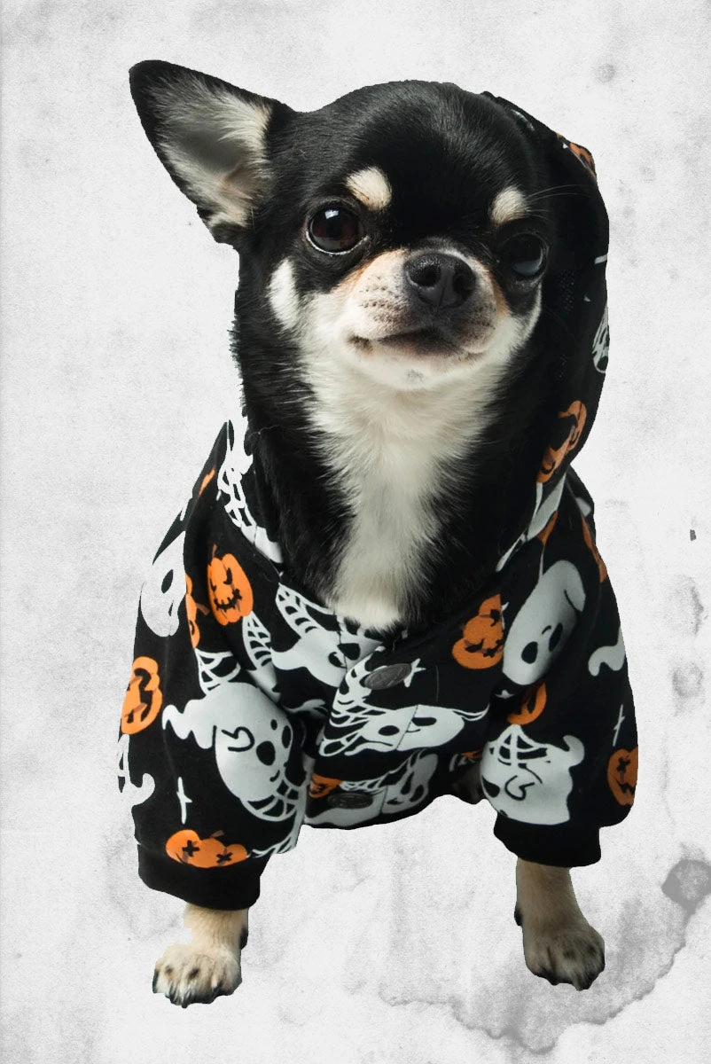 Haunted Pumpkin Pet Hoodie 3 Haunted Pumpkin Pet Hoodie