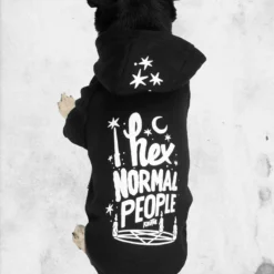 Hex Pet Hoodie -Mortem Horror Shop killstar pet goth apperal