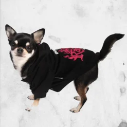 Daddy's Hellrasier Pet Hoodie 8 Daddy's Hellrasier Pet Hoodie -Mortem Horror Shop killstar pet hoodie winter goth