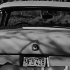 Psycho - Marion Crane's Ford Plate -Mortem Horror Shop marion christmas licene plate