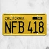 Psycho - Marion Crane's Ford Plate -Mortem Horror Shop psycho license plate movie prop