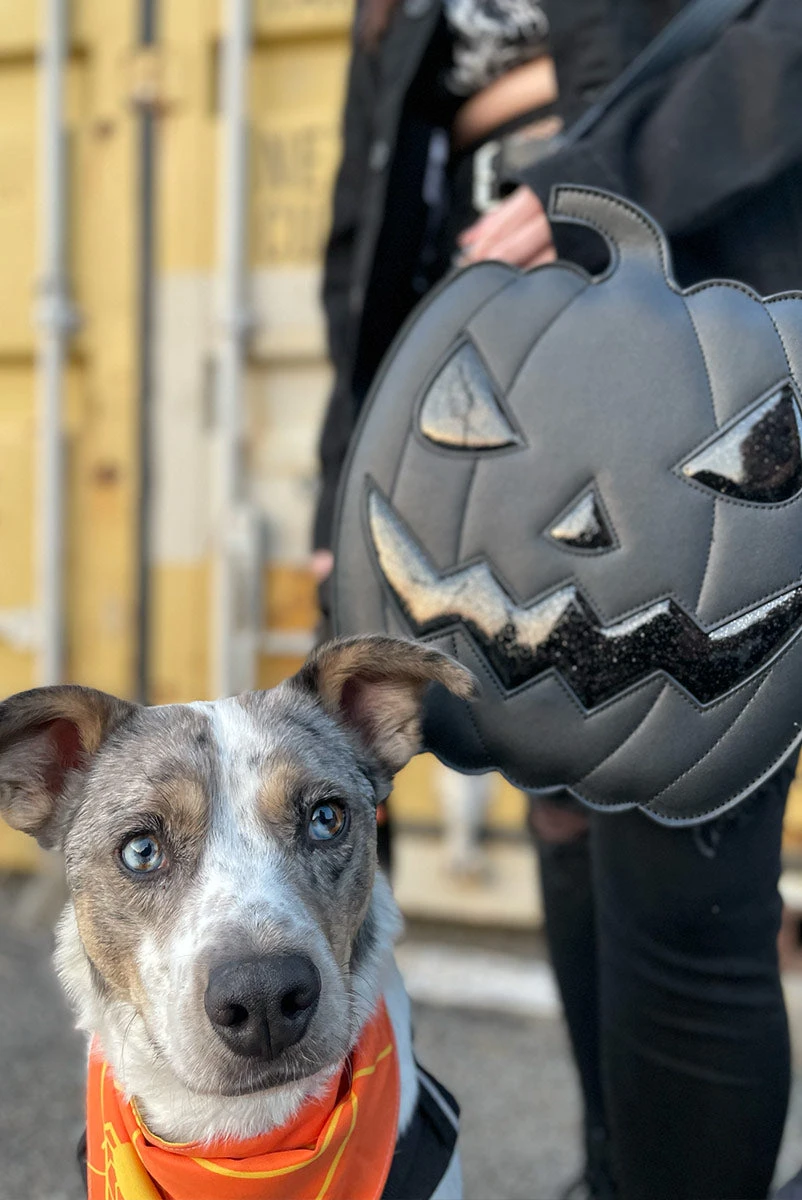 Shapeshifter - Midnight Jack Bag 4 Shapeshifter - Midnight Jack Bag - Image 2